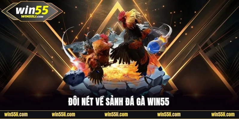 Đôi nét về sảnh đá gà Win55