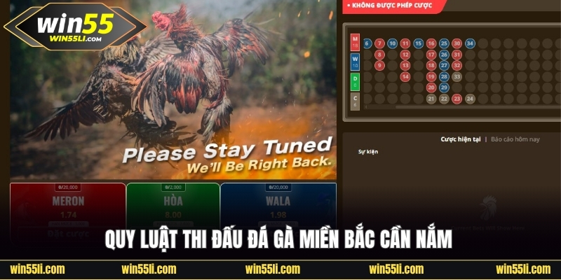 Luật đá gà miền Bắc người chơi cần nắm