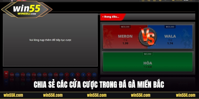 Luật đá gà miền Bắc cửa cược