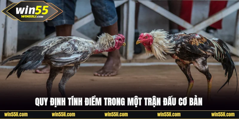 Quy định tính điểm trong một trận đấu cơ bản
